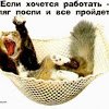 Скорость загрузки - последнее сообщение от Alex Smirnoff