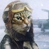 Куда можно вложить деньги в интеренете , что-бы приумножить их? - последнее сообщение от Nadoeda